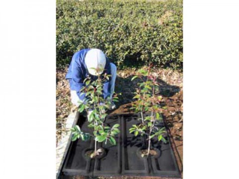 雑草抑制効果高く景観にもいい雑草防止材