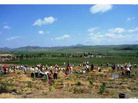山田養蜂場が７年目となる植樹活動を内モンゴルで実施