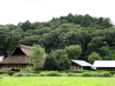 夢はいつか叶う？　都会生活者の3割が憧れる農山漁村生活　