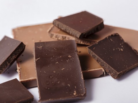 国内初の臨床研究でチョコレートの健康効果明らかに