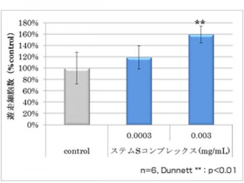 アンチエイジングに新たな光。コラーゲン線維の増強等に貢献する素材を発見