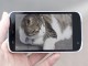 画：「スマホて_動画」10代て_急増　と_うするテレヒ_界