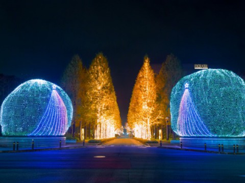 クリスマスの夜、ピークを迎えるイルミネーション。日本の未来を照らす、LEDの明かり