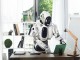 画・RPA（AIロボット事務自動化）市場、急拡大。働き方改革が追い風。