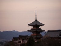画・京都の違法民泊の宿泊者数は修学旅行生並みの約110万人