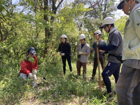 気候変動に人間の影響は「疑う余地がない」。今と未来を守る、1本の樹