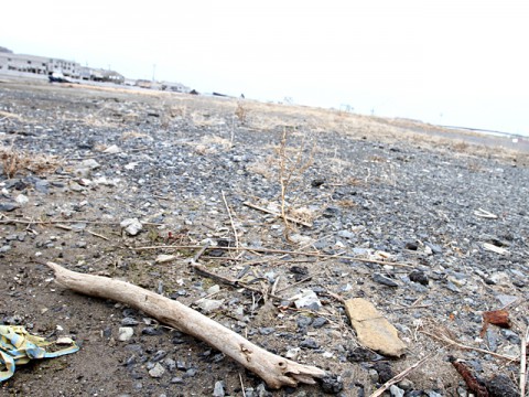 能登半島地震から半月。政府・民間企業からの支援が続々