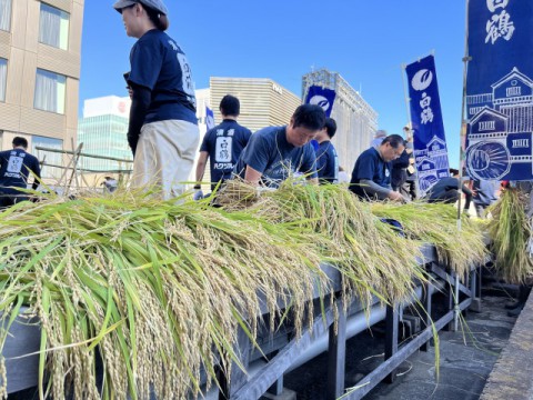 銀座の屋上生まれの日本酒やお月見専用の日本酒も！　魅力ある「限定日本酒」の世界