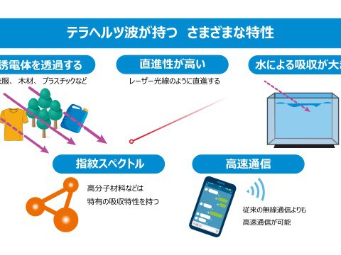 未来を大きく変える次世代移動通信システム6G。実用化の鍵は「テラヘルツ波」