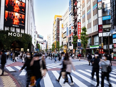 ローヤルゼリーが表皮幹細胞を活性化。山田養蜂場と近畿大学薬学総合研究所がローヤルゼリーによる肌の若返り効果を確認