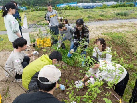 コメ不足だけではないアインシュタインも警鐘を鳴らす食糧危機問題。日本で植樹アクションPROJECTが始動