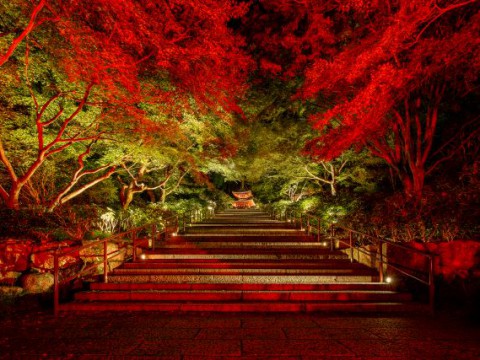 まちを夜間も顔のある場所に変える　パナソニックの挑戦