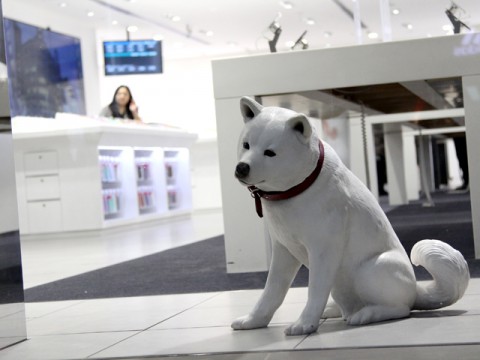 通信インフラは空へ　ソフトバンクが実証した新構造