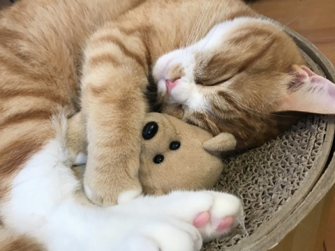 なぜ何もしたくない週末が増えたのか　在宅消費の背景