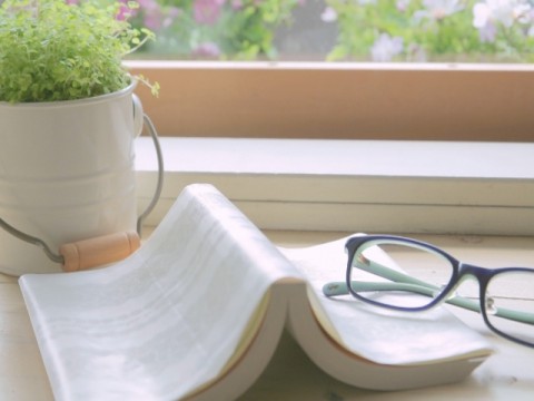 雨の日は読書が進むのは本当か　 “静かな時間”が生む集中力